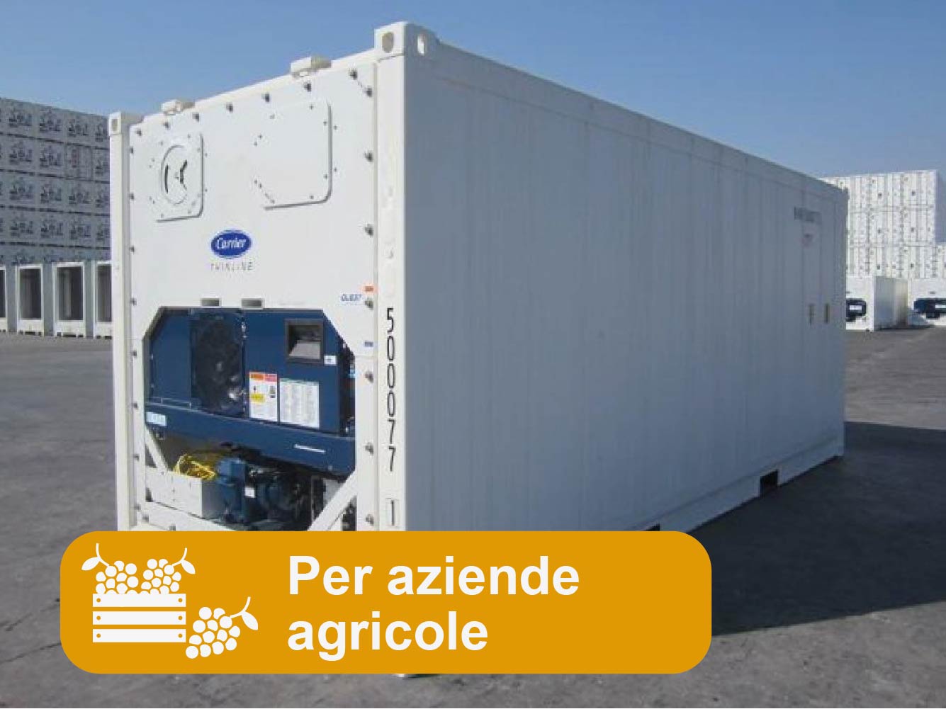 container frigoriferi per aziende agricole